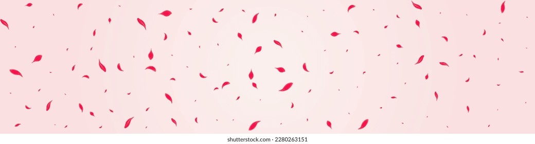 Carmine Petal Vector Pink Panoramic Background. Japan Cherry Cover. Coral Flower Falling Design. Ruby Summer Peach Frame.