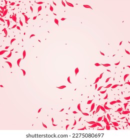 Carmine Sakura Vector Pink Background. Summer Peach Wallpaper. Scarlet Lotus Fall Banner. Ruby Beauty Blossom Frame.