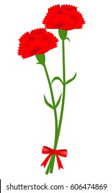 Carnation