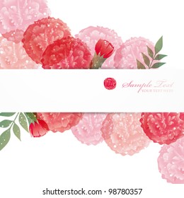 carnation background