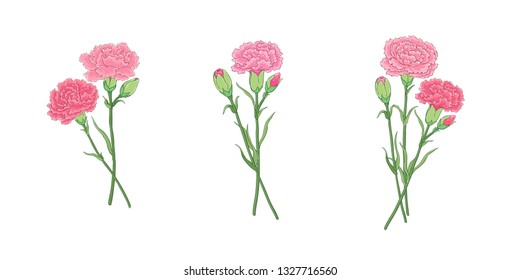 Carnation bouquets, three different styles of bouquets