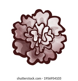 Carnation bud, top view. Monochrome flower icon in brown colors with outline, vector illustration isolated on white, object for design