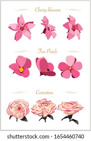 Carnación, flor de cerezo y cinco flores rosadas pétalas en ángulo frontal, ángulo lateral y ángulo de 45 grados