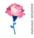 Carnation - colorful flat design style object
