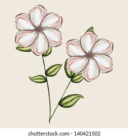 carnation design over pink background vector illustration