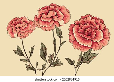 Carnation Engraving Flowers  Retro Design, Old Paper Texture, HandMade Gift Card Invitation