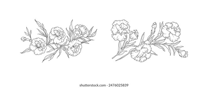 Carnation flower arrangement line art on white background. Silhouette botanical hand drawn element for wedding, invitation frame design, vector illustration