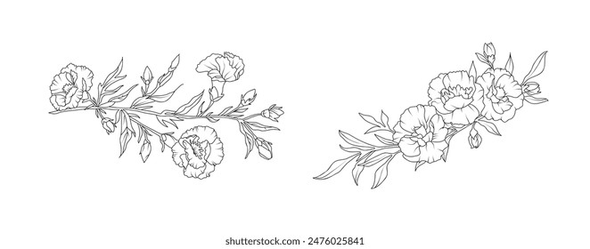 Carnation flower arrangement line art on white background. Silhouette botanical hand drawn element for wedding, invitation frame design, vector illustration