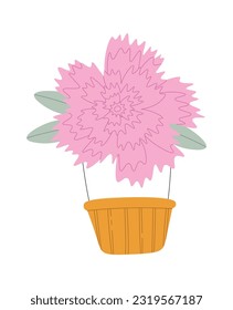 Carnation Flower Balloon Basket Vector Illustration
