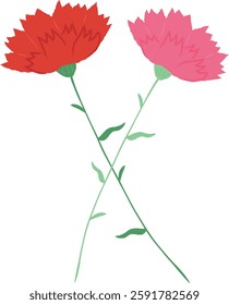 Carnation flower celebration mother's day parent day teacher's day