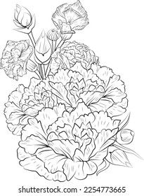 Carnation flower coloring book hand drawn botanical spring elements bouquet of clover pink flower line art coloring page vector sketch artistic, simplicity doodle art.
