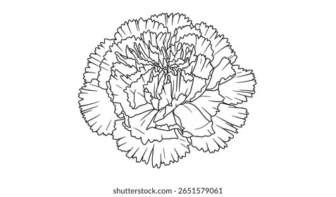 Carnation flower coloring page outline highlighting the unique ruffled petal edges typical of the bloom