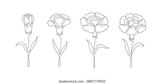 Carnation flower continuous line