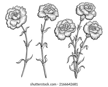 1,767 Carnation outline Images, Stock Photos & Vectors | Shutterstock