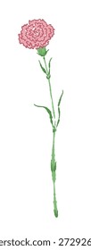 Nelke Blume Köpfe Rand Vektor