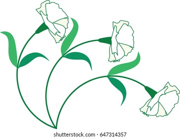 carnation flower icon