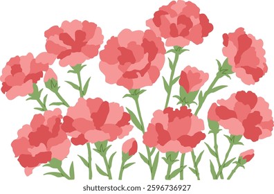 Carnation flower illustration. Cartoon design