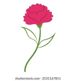 Carnation Flower Line Art Illustration.