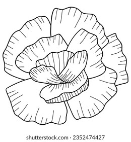 Carnation flower line detail. Vector illustration with flower theme. Suitable for wedding invitation, aesthetic decoration, social media post, banner, promotion, advertising, etc.