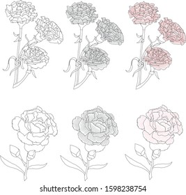 Carnation Flower Mother's day vector 