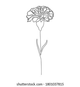 Carnation Flower On White Background. One Line Drawing Style.