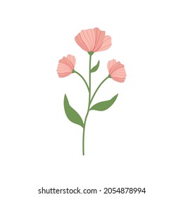 carnation flower printable decor vector illustration design eps.10