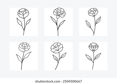 Carnation flower set line art vector illustration