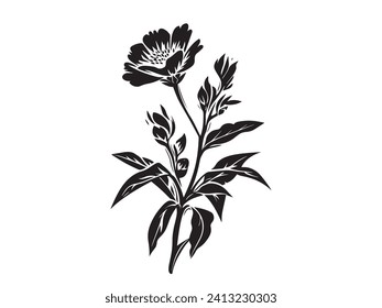 Carnation Flower Silhouette: Minimalist Black on White Stenciled Iconography - Minimalist African Flower Illustration