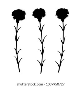 Carnation flower silhouettes set isolated on white. Floral symbol for mothers day.  Vector design. 