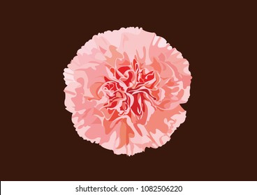 Carnation Flower Vector Art Design