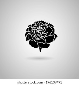 carnation flower. Vector illustration.