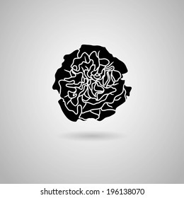 carnation flower. Vector illustration.