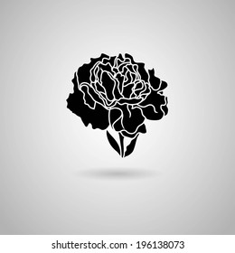 carnation flower. Vector illustration.