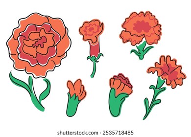 carnation flowers in doodle style in vector. different phases and sizes of flower. element for decor postcard design print sticker animation poster background