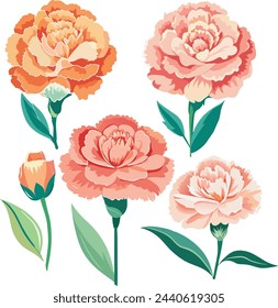 Carnation flowers. Vector illustration set of Mother's day. 