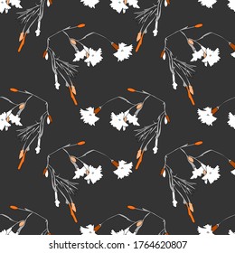 Carnation flowers .Vector. Image on a white and colored background.