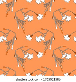 Flores de clavel.Vector. Imagen de fondo blanco y colorido.