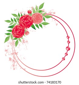 carnation frame