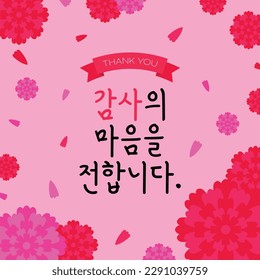 Carnation greeting card(korean, written as I express my gratitude.)