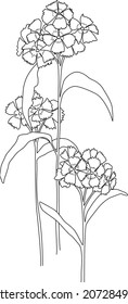 El clavel está hecho a mano. Flor. Ilustración del vector