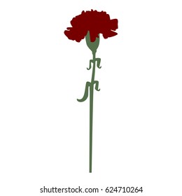 A carnation for the holidays.