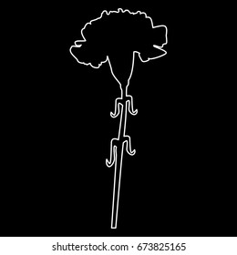Carnation icon .