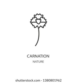 Carnation icon. Carnation linear symbol design from Nature collection. Simple outline element vector illustration on white background