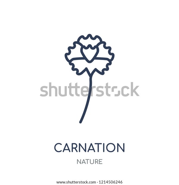 Carnation Icon Carnation Linear Symbol Design Stock Vector (Royalty Free) 1214506246 Shutterstock