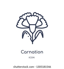 carnation icon from nature outline collection. Thin line carnation icon isolated on white background.