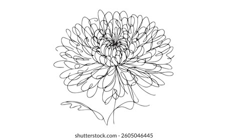 Carnation icon from nature outline collection  ,icon isolated on white background.