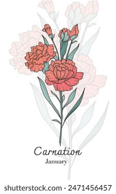 Carnation Line Art. Carnation flower vector Illustration. January Birth Month Flower. Carnation outline isolated on white. Hand painted line art botanical illustration.