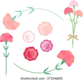 carnation for Mother's Day