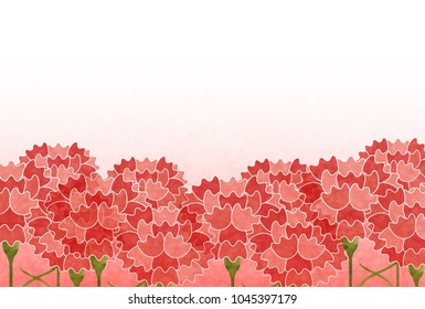 Carnation Mother's Day Flower background