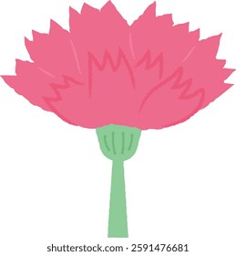 carnation mother's day parents day flower may